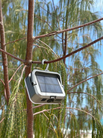 Rangeborn PowerLight- Solar Rechargeable
